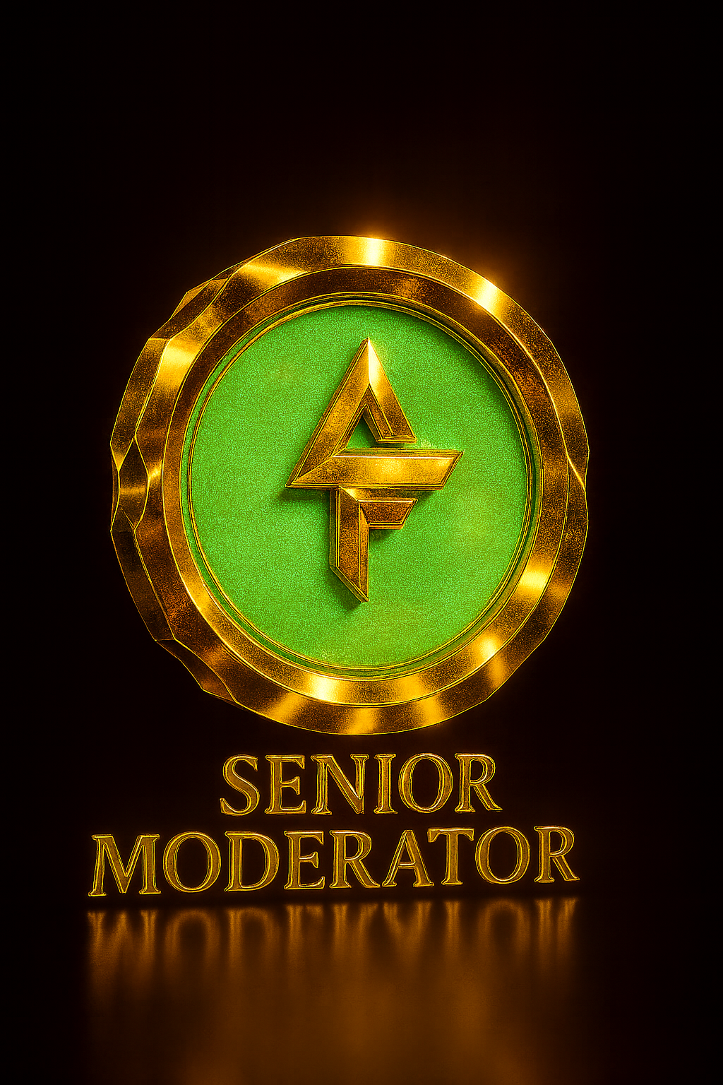 Senior-Moderator Team